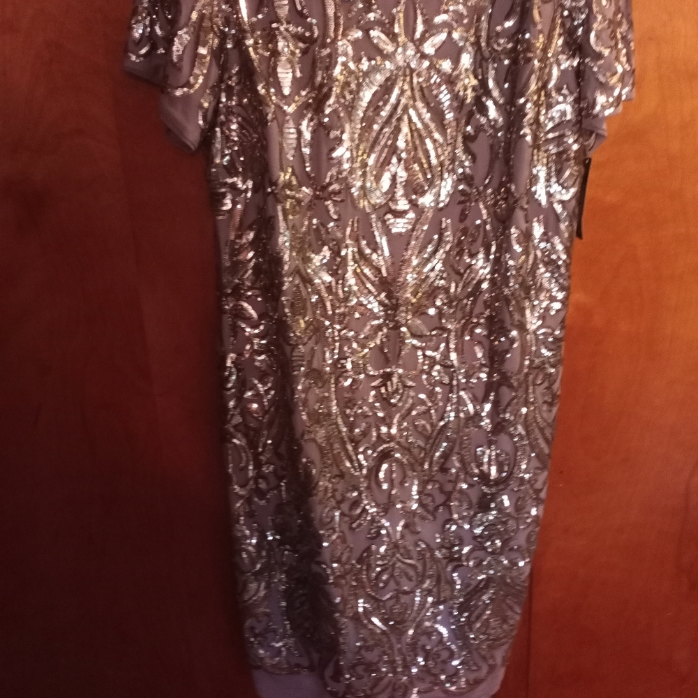R & m Richards Sequin Dress